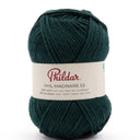 Phildar Phil Imaginaire 3.5 2137 Cedar