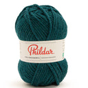 Phildar Phil Imaginaire 6 2100 Peacock