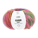 Lang Yarns Cloud Funky 0027 Roze/Blauw/Lichtgroen/Fuchsia