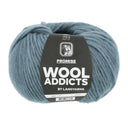 Lang Yarns Promise 0174 Schemering