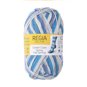 SMC Regia Cotton Color 2467 Close of Winter