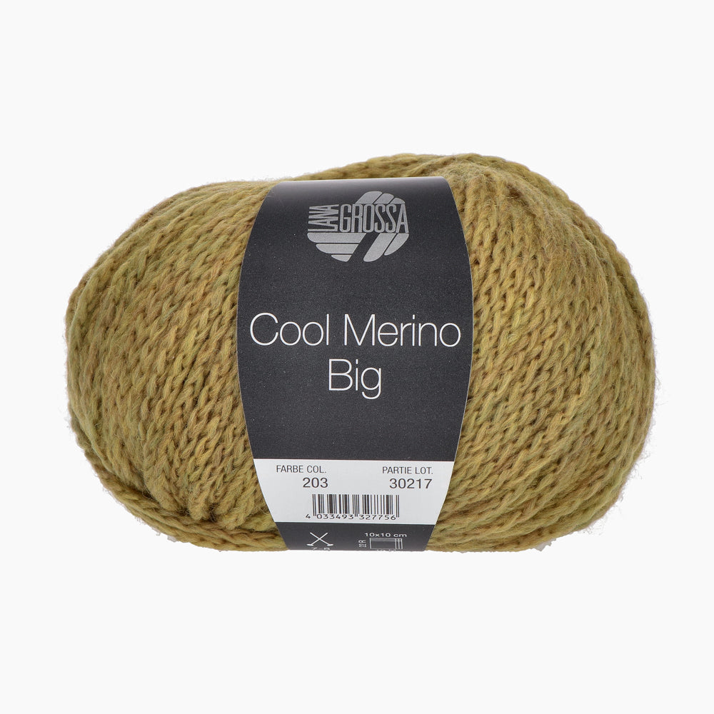 Bol Lana Grossa Cool Merino Big in kleur 203
