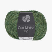 Lana Grossa Cool Merino Big 204 Groen