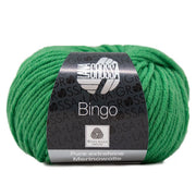 Lana Grossa Bingo 737 Groente