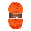 Stylecraft Special Aran 1711 Spice