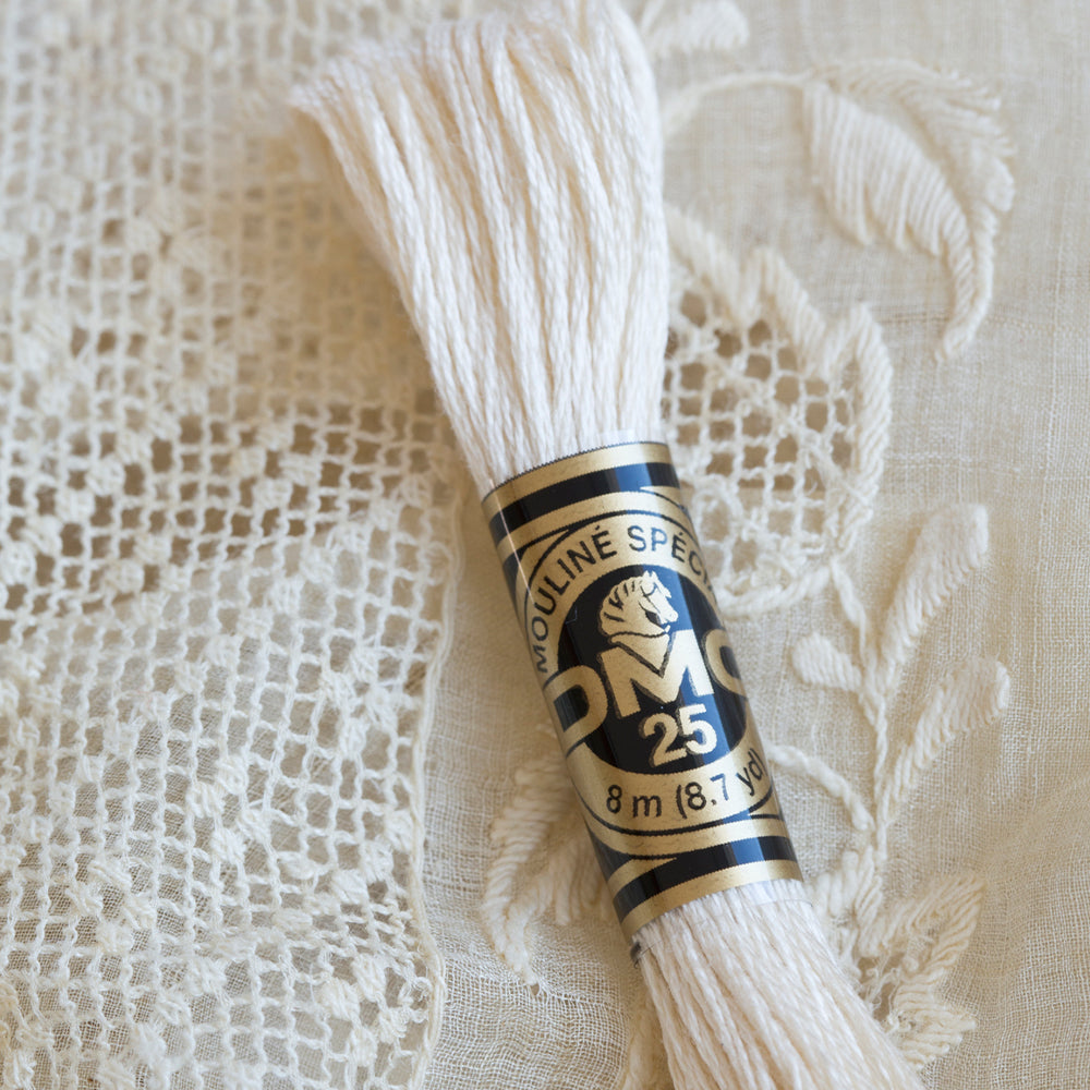 Sfeerbeeld met DMC 117MC Mouliné Spécial Borduurgaren 8m 3328 (2)