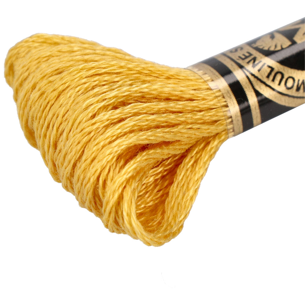 Wdmc mc — gemaakt met DMC 117MC Mouliné Spécial Borduurgaren 8m 3821