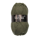 Drops Karisma Uni Colour 087 Mosgroen