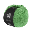 Lana Grossa Elastico 181 Appeltjesgroen