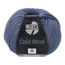 Lana Grossa Cool Wool 2037 Grijsblauw