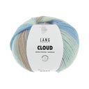 Lang Yarns Cloud 014 Lichtgroen/Lichtblauw/Lila