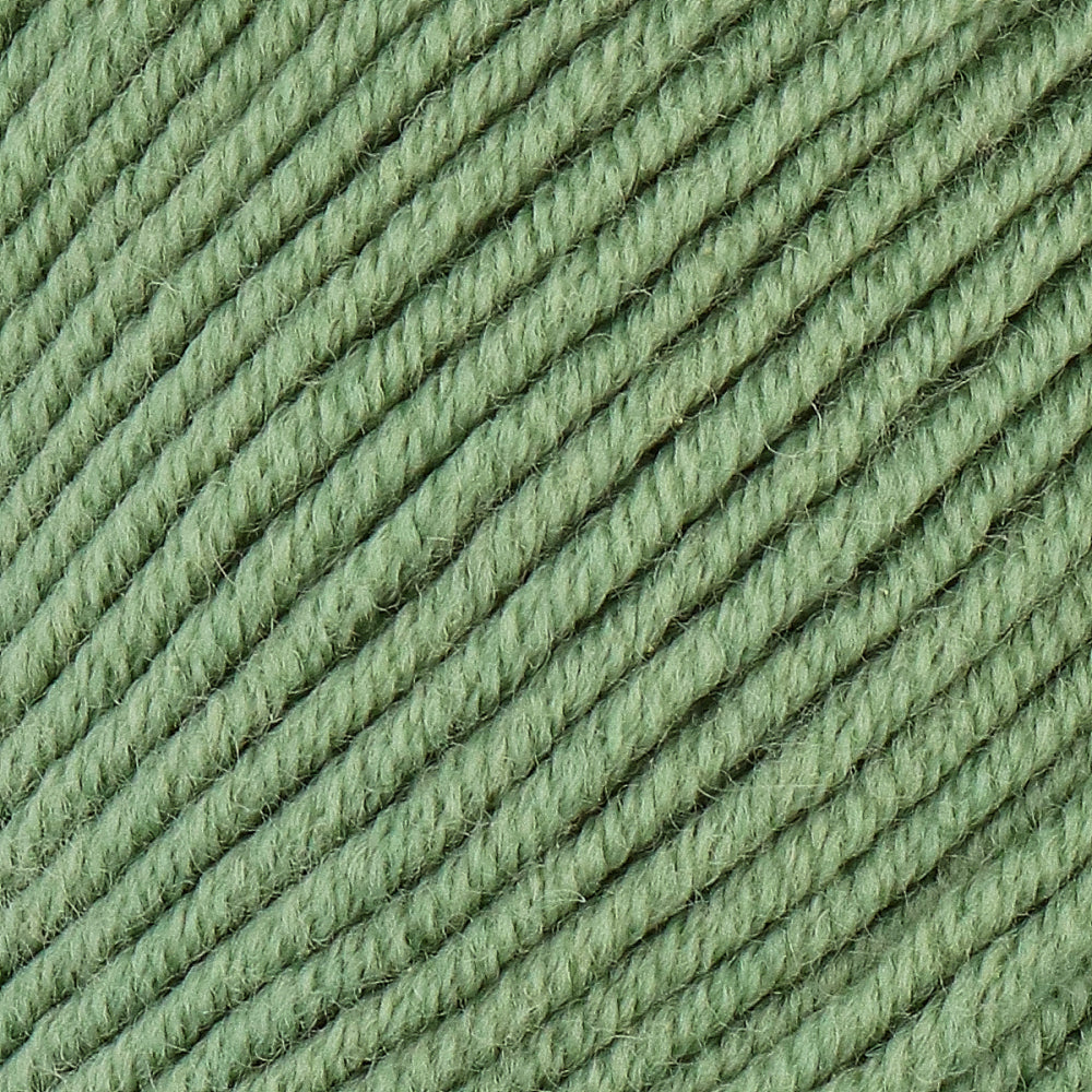 Lang Yarns Merino 120 0091 Salie (2)