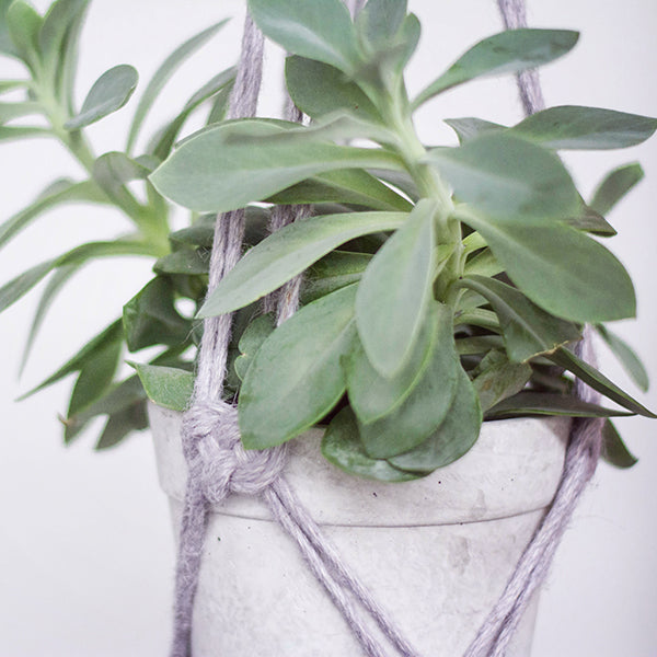 Macramépatroon Plantenhanger (2)