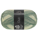 Lana Grossa Meilenweit 6-Fach 150 Duo 9725 Groen-/Lichtgrijs