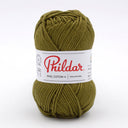 Phildar Phil Coton 4 2012 Plantaardig
