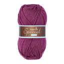 Stylecraft Special Chunky 1061 Plum