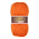Stylecraft Special DK 1711 Spice