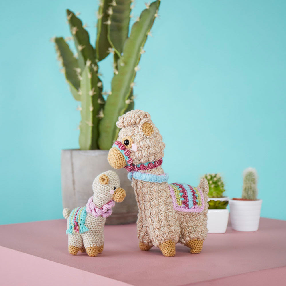 Sfeerbeeld met Stylecraft Special DK Alle Kleuren Pakket