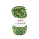 Katia Capri Tones 305 Groen-Pistache