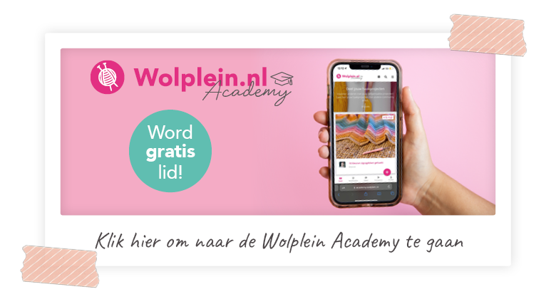 Wolplein academy